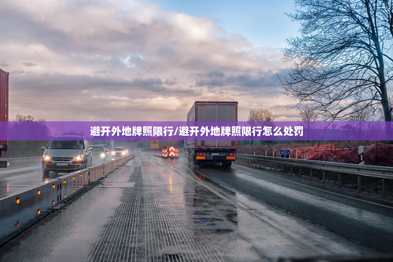 避开外地牌照限行/避开外地牌照限行怎么处罚
