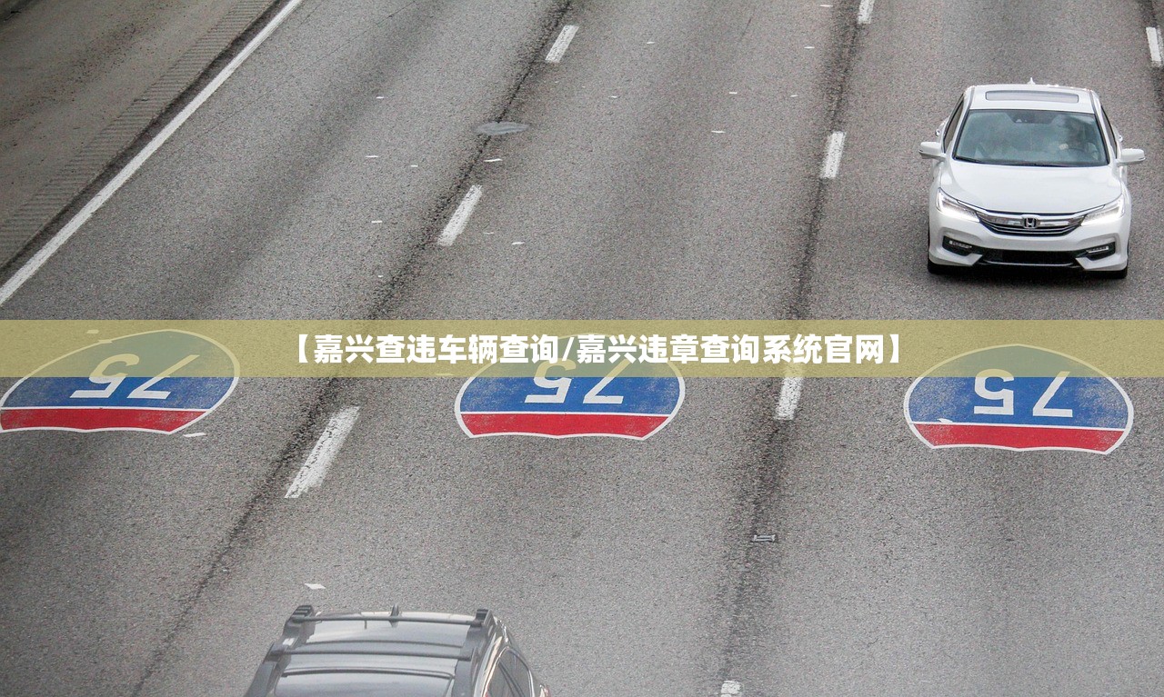 【嘉兴查违车辆查询/嘉兴违章查询系统官网】