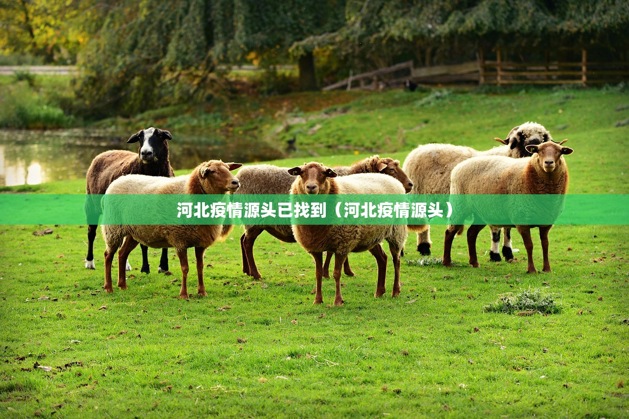 河北疫情源头已找到（河北疫情源头）