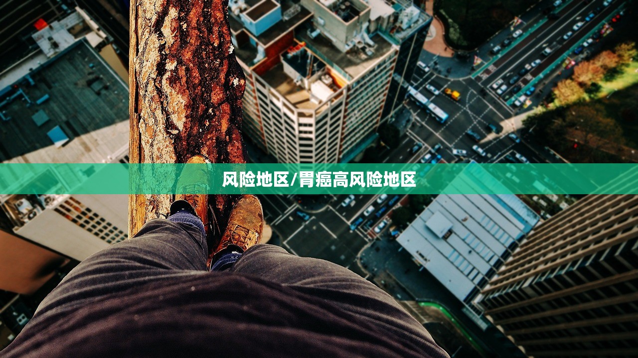 风险地区/胃癌高风险地区