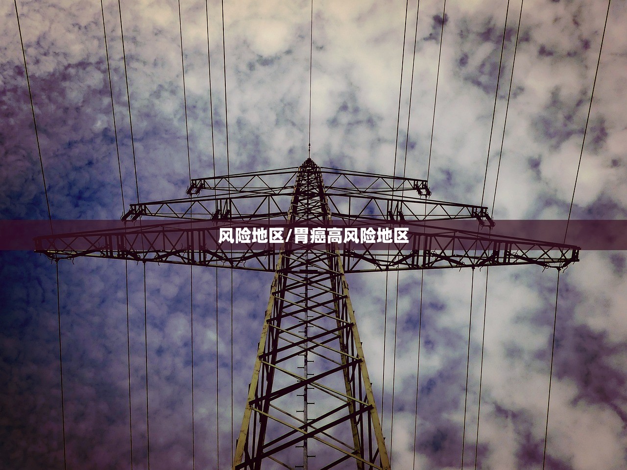风险地区/胃癌高风险地区