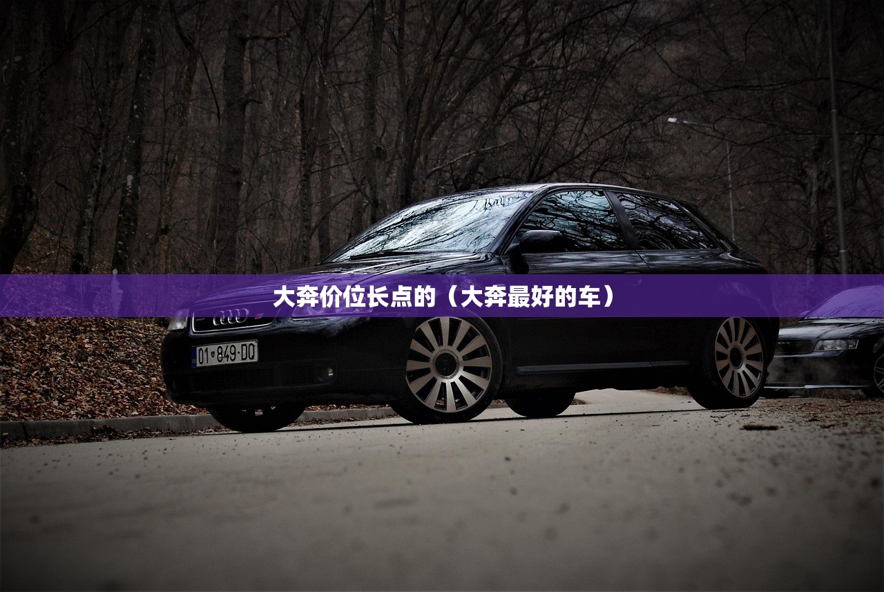 大奔价位长点的（大奔最好的车）