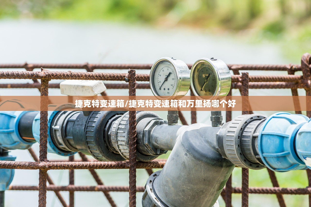 捷克特变速箱/捷克特变速箱和万里扬哪个好