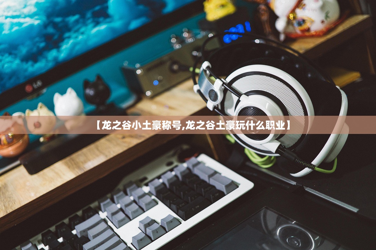 【龙之谷小土豪称号,龙之谷土豪玩什么职业】