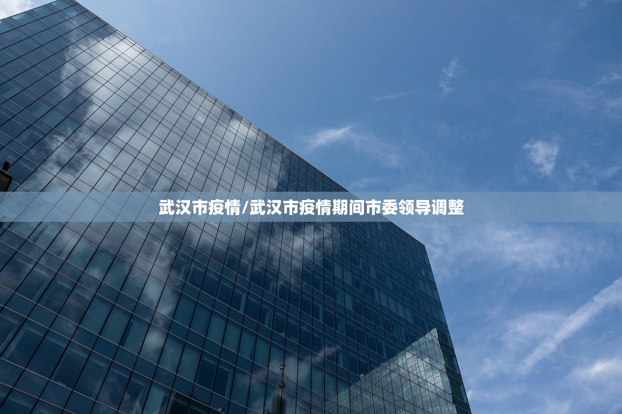 武汉市疫情/武汉市疫情期间市委领导调整 武汉市疫情/武汉市疫情期间市委领导调整