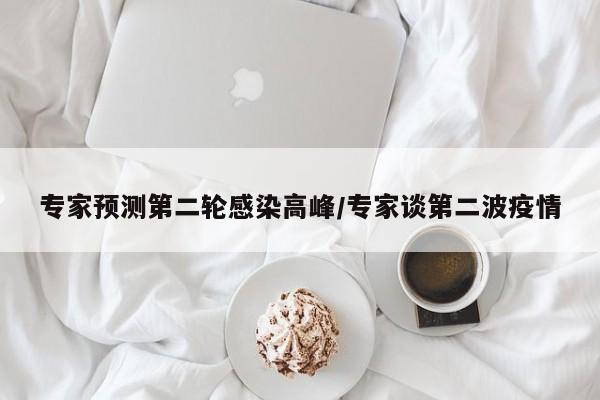 专家预测第二轮感染高峰/专家谈第二波疫情