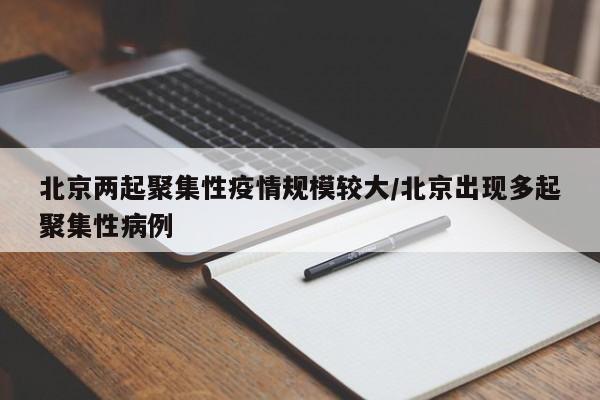 北京两起聚集性疫情规模较大/北京出现多起聚集性病例