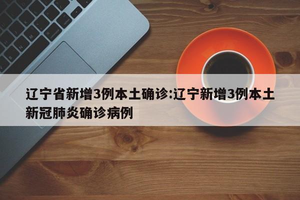 辽宁省新增3例本土确诊:辽宁新增3例本土新冠肺炎确诊病例
