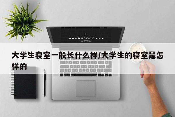 大学生寝室一般长什么样/大学生的寝室是怎样的