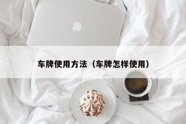 车牌使用方法（车牌怎样使用）