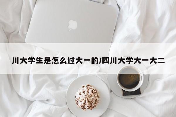 小马拉大车的车型:啥叫小马拉大车